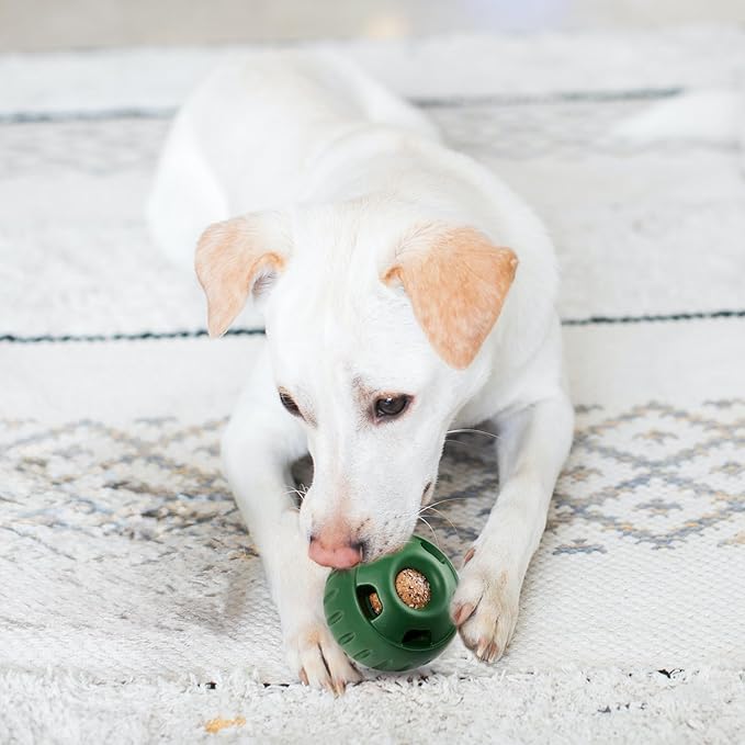 Dog Treats Toy - Frozen Dog Treats - Dog Chew Toys, Durable, Natural Rubber - Fillable Dog Toys